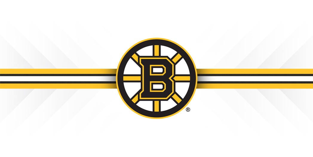 Boston: Boston Bruins Ice Hockey Game Ticket at TD Garden