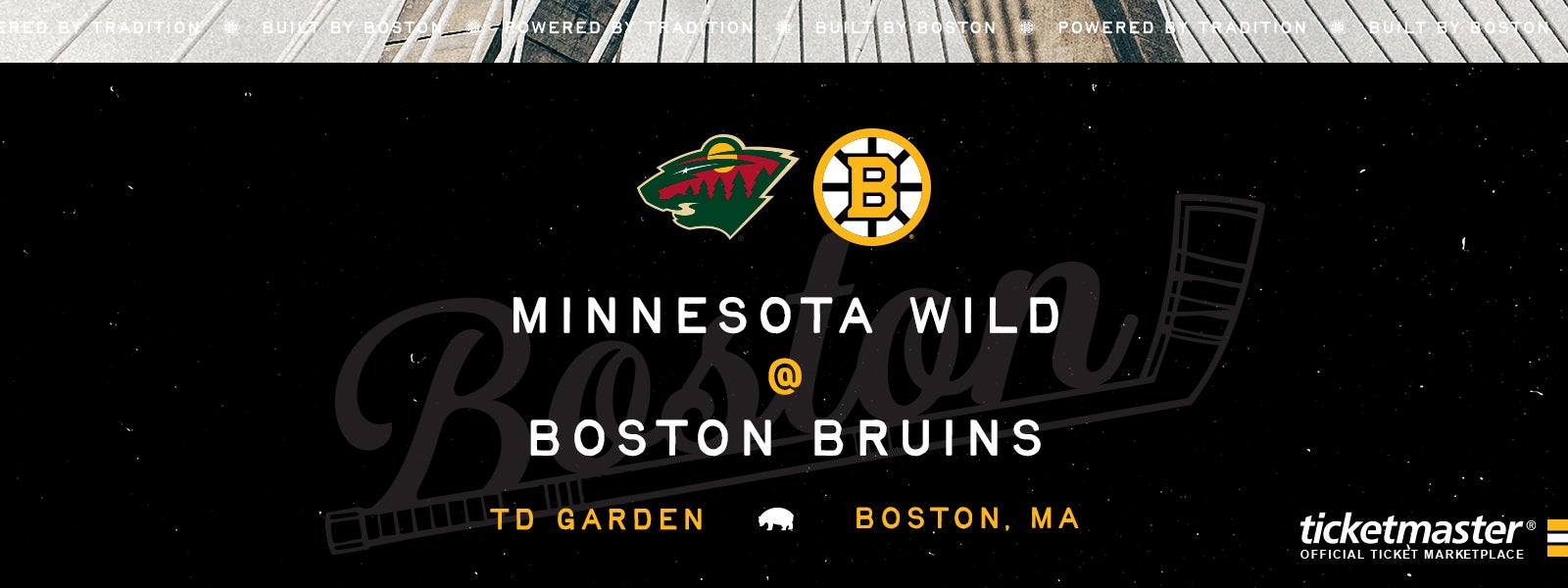 Bruins vs. Wild
