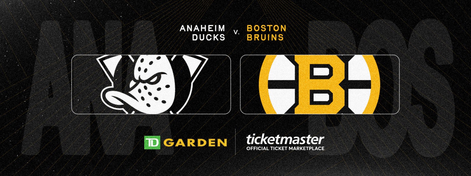 Bruins vs. Ducks