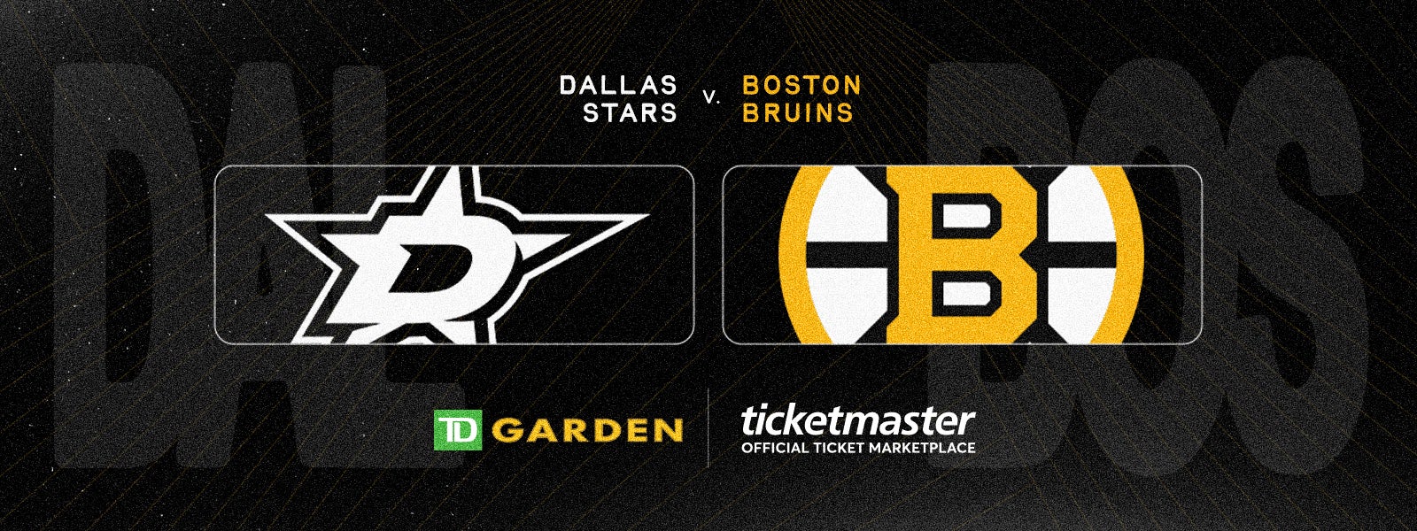 Bruins vs. Stars