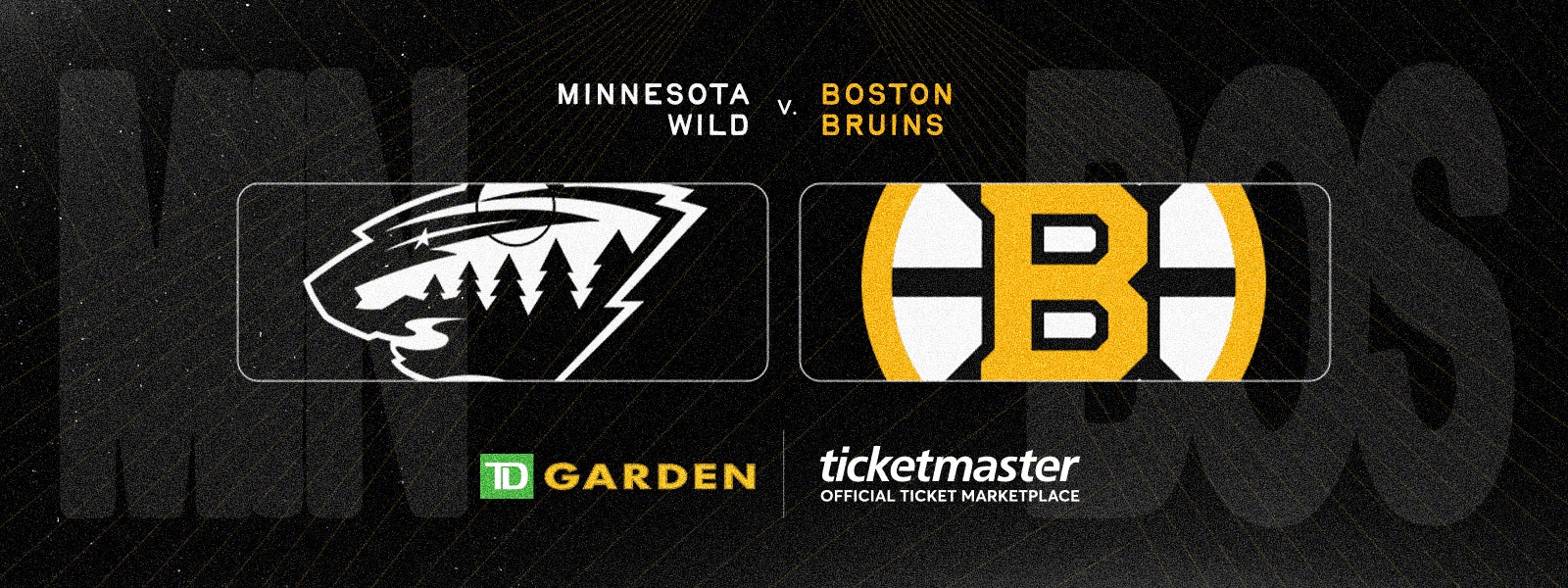Bruins vs. Wild