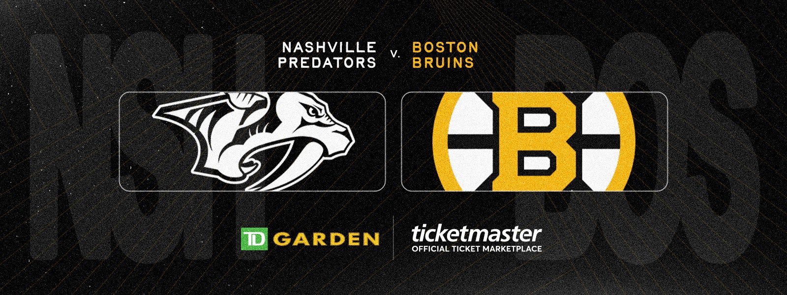 Bruins vs. Predators