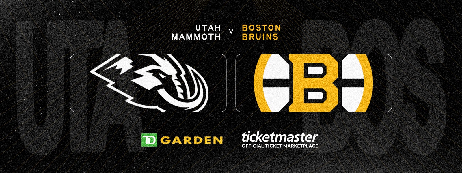 Bruins vs. Mammoth