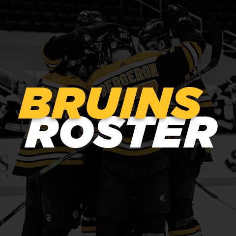 Roster-Bruins-480x480.jpg