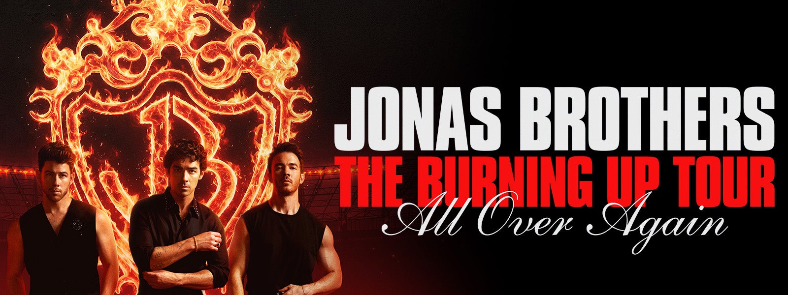 The Jonas Brothers